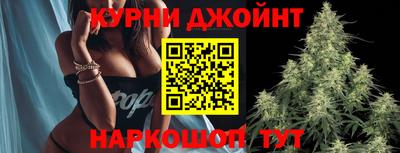 гидра Бузулук