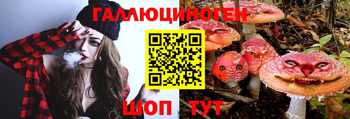 как найти закладки  Галлюциногенные грибы Cubensis  Вход с VPN  Галлюциногенные грибы Cubensis  Прокопьевск 